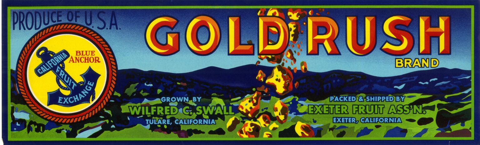 Gold Rush Gold Rush